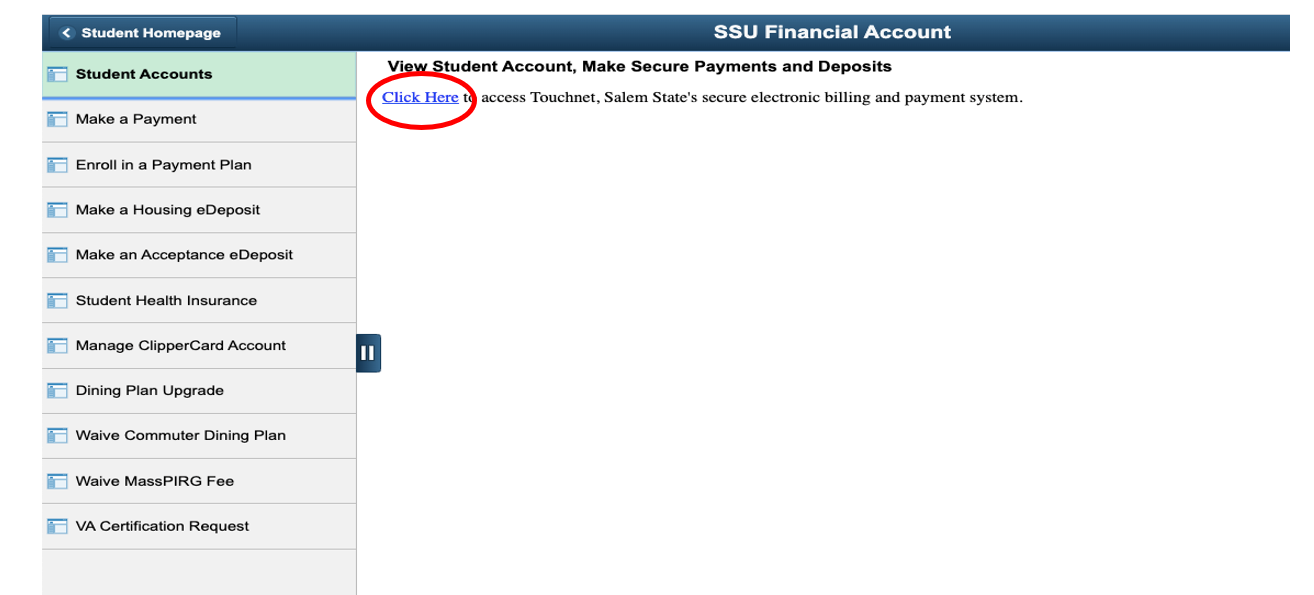 How to: Access my 1098-T